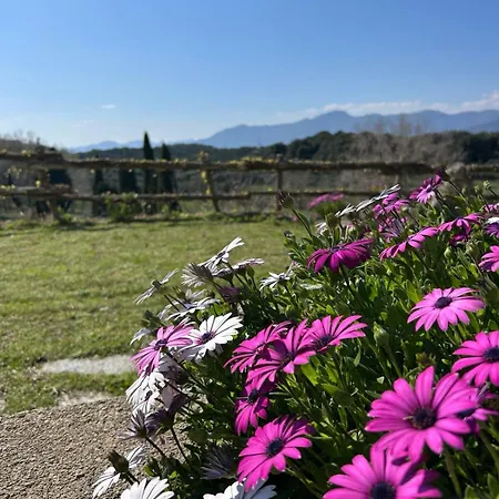 Tenuta Buraggi Apartman Finale Ligure