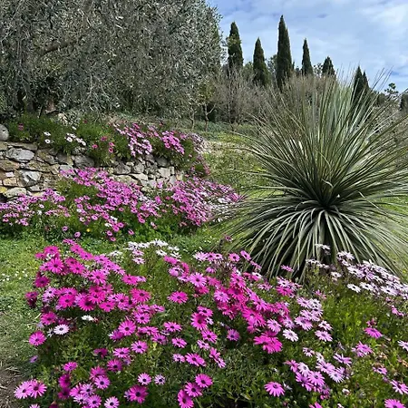 Tenuta Buraggi *